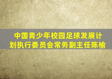 中国青少年校园足球发展计划执行委员会常务副主任陈榆