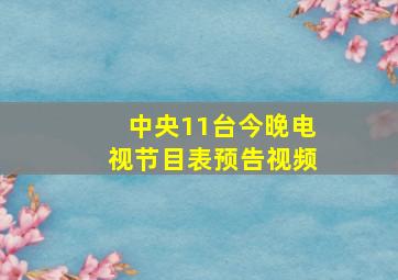 中央11台今晚电视节目表预告视频