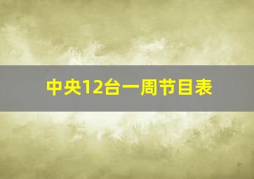 中央12台一周节目表