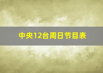 中央12台周日节目表