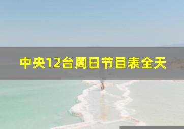 中央12台周日节目表全天