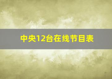 中央12台在线节目表