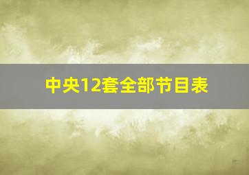 中央12套全部节目表