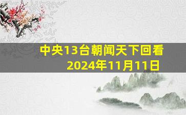 中央13台朝闻天下回看2024年11月11日