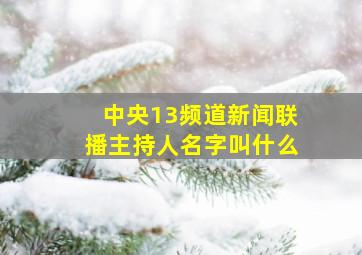 中央13频道新闻联播主持人名字叫什么