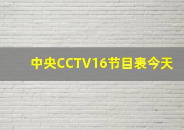 中央CCTV16节目表今天