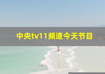 中央tv11频道今天节目