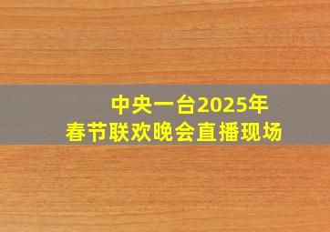 中央一台2025年春节联欢晚会直播现场