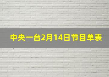 中央一台2月14日节目单表