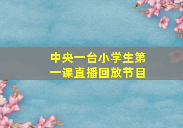 中央一台小学生第一课直播回放节目