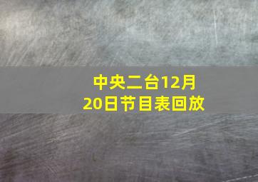 中央二台12月20日节目表回放