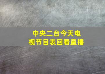 中央二台今天电视节目表回看直播