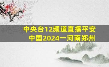 中央台12频道直播平安中国2024一河南郑州