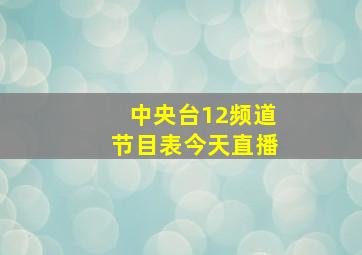 中央台12频道节目表今天直播