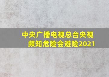 中央广播电视总台央视频知危险会避险2021