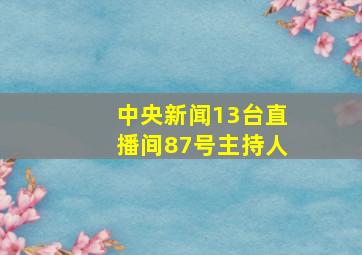 中央新闻13台直播间87号主持人