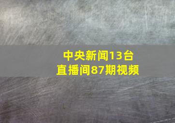 中央新闻13台直播间87期视频