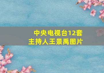 中央电视台12套主持人王景禹图片