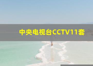 中央电视台CCTV11套