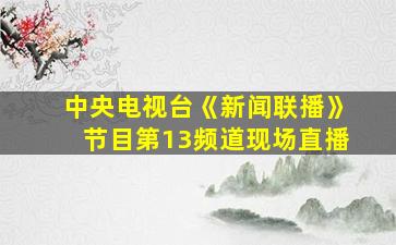 中央电视台《新闻联播》节目第13频道现场直播