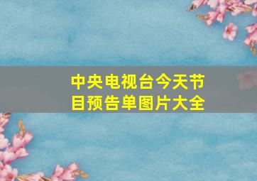 中央电视台今天节目预告单图片大全