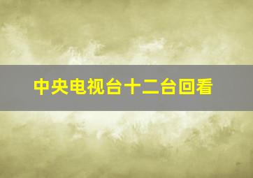 中央电视台十二台回看