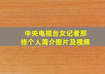 中央电视台女记者邢栋个人简介图片及视频