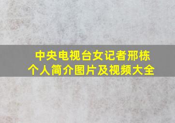 中央电视台女记者邢栋个人简介图片及视频大全