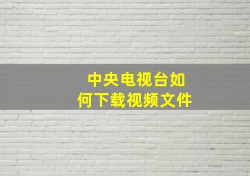 中央电视台如何下载视频文件