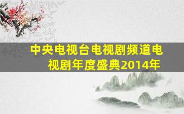 中央电视台电视剧频道电视剧年度盛典2014年