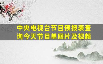 中央电视台节目预报表查询今天节目单图片及视频