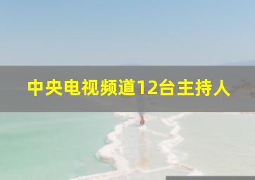 中央电视频道12台主持人