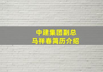 中建集团副总马祥春简历介绍