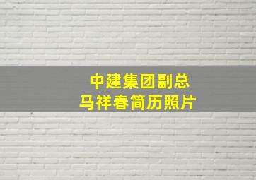 中建集团副总马祥春简历照片