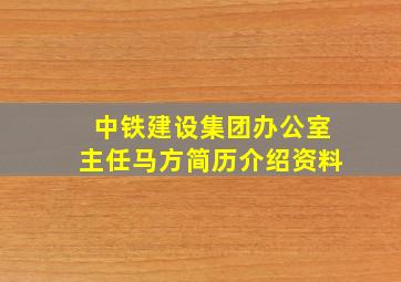 中铁建设集团办公室主任马方简历介绍资料