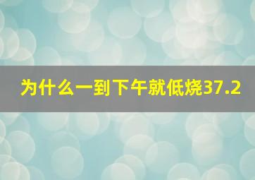 为什么一到下午就低烧37.2