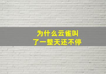 为什么云雀叫了一整天还不停