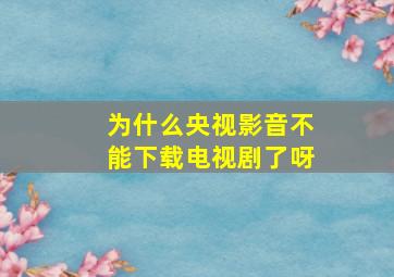 为什么央视影音不能下载电视剧了呀