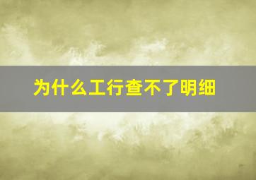 为什么工行查不了明细