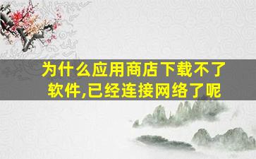 为什么应用商店下载不了软件,已经连接网络了呢