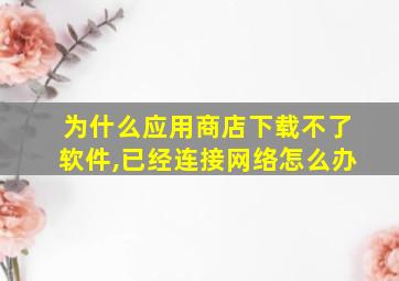 为什么应用商店下载不了软件,已经连接网络怎么办