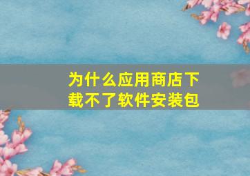 为什么应用商店下载不了软件安装包