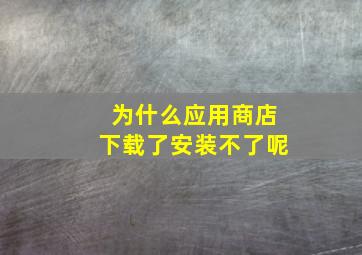 为什么应用商店下载了安装不了呢