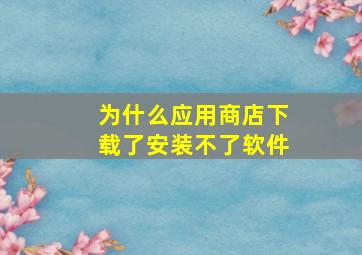 为什么应用商店下载了安装不了软件