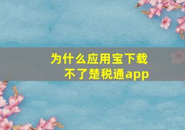 为什么应用宝下载不了楚税通app