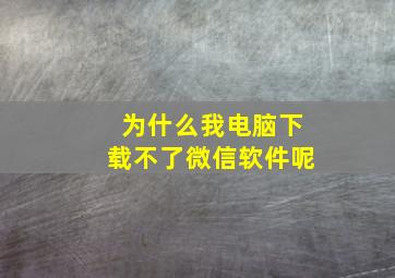 为什么我电脑下载不了微信软件呢