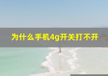 为什么手机4g开关打不开