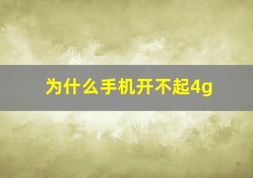 为什么手机开不起4g