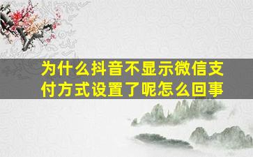 为什么抖音不显示微信支付方式设置了呢怎么回事