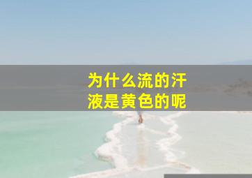 为什么流的汗液是黄色的呢